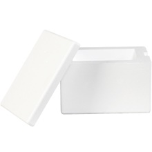Insulated Foam Containers